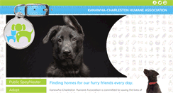 Desktop Screenshot of adoptcharleston.com